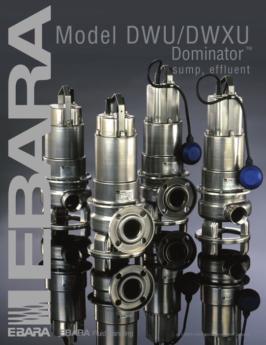 DWX - Flanged Discharge Dominator